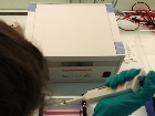Galerie 9 Genlabor. Vorsichtiges Pipettieren der  Bakterien-DNA in die Gel-Tasche. Foto KALM.jpg anzeigen.